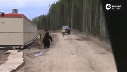 男子恶作剧假扮黑熊 同事“吓掉魂”落荒而逃