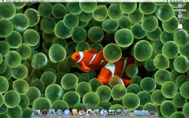 Mac OS X Leopard - I've Got It.