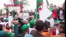 الجزائريون يرفعون شعار دزيرية توانسة خوا خوا يا ارهابي يا جبان شعب تونس لا يهان