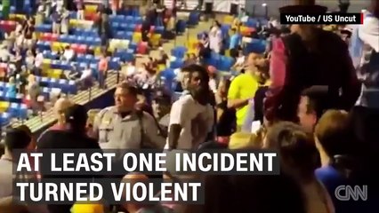 Protester hit at Trump rally