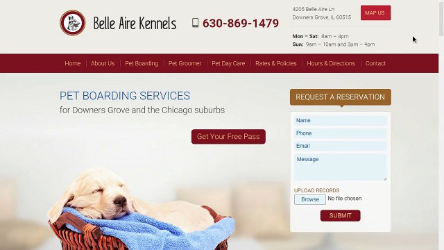 Dog Boarding Near Woodridge Call 630-869-1479