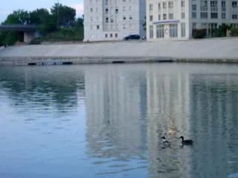 essai n°2 Poulpito-evo - 6 nimh 7.2v 1000mA