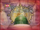 Kare Chara Sazi Ziyarat-Official By Owais Raza Qadri