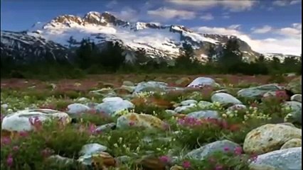 ~Fausto Papetti~ Romantic Symphony Sax ( Partea a II-a )