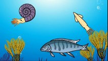 Les Pliosaures - Les reptiles marins 1 - Dessin animé éducatif pour enfants  Dessins Animés En Français