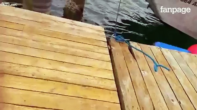 Una 'strana schiuma' a galla- quando si accorgono cosa c'è sott'acqua restano sbalorditi