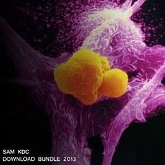 Sam KDC - Back Where I Met You