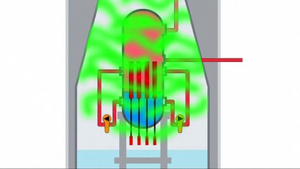 Fukushima nuclear disaster