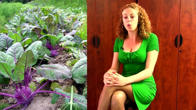 Easiest Diet & Weight Loss EVER! Lose Weight Healthy Dieting Tips Psychetruth Nutrition Info