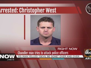 Chandler man tries to attack police officer