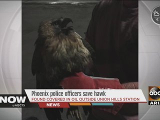 Police officers save hawk