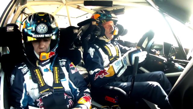 WRC Rally Guanajuato México 2016: Ogier-cow-incident