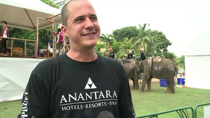 Polo pachyderms rumble in Bangkok's urban jungle