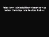 Read Asian Slaves in Colonial Mexico: From Chinos to Indians (Cambridge Latin American Studies)