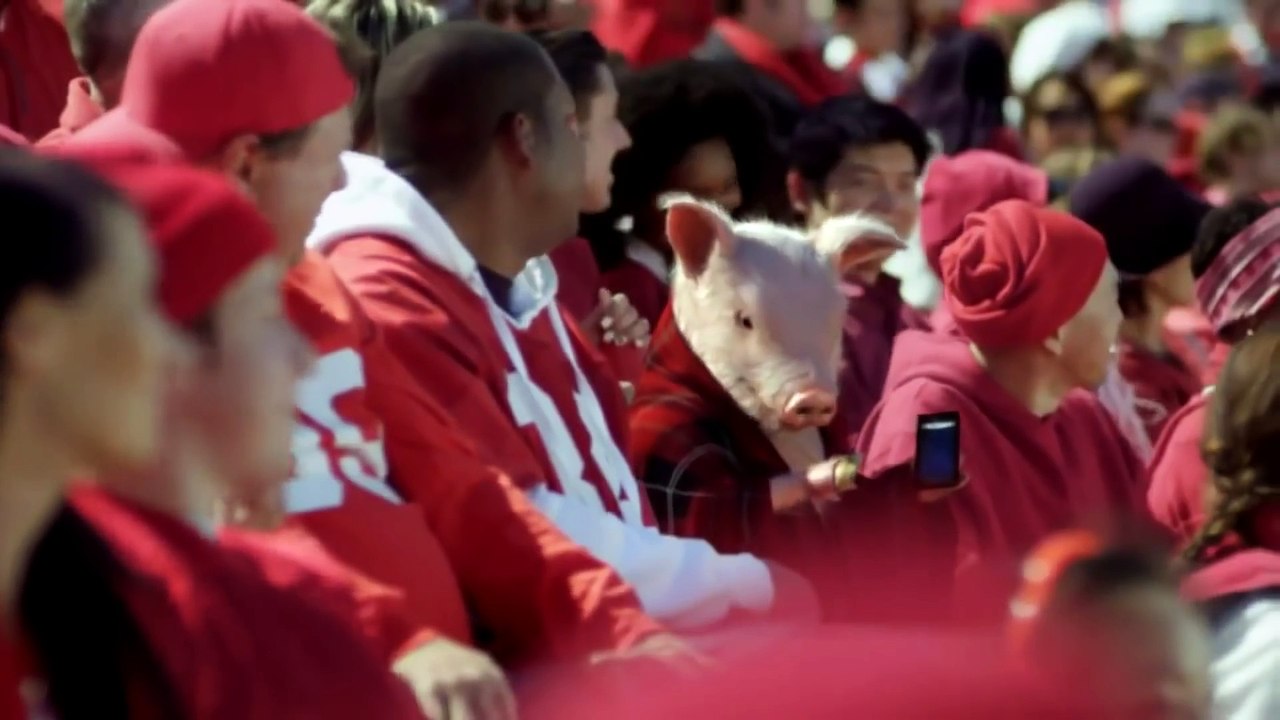 Top 13 The Best and Funny Geico Maxwell the Pig TV Commercials