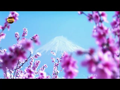 بسم الله الرحمن الرحيم