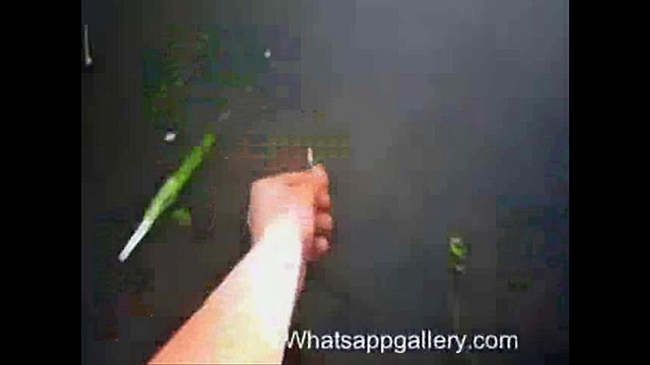 Whatsapp funny video 94 @whatsapp #whatsapp