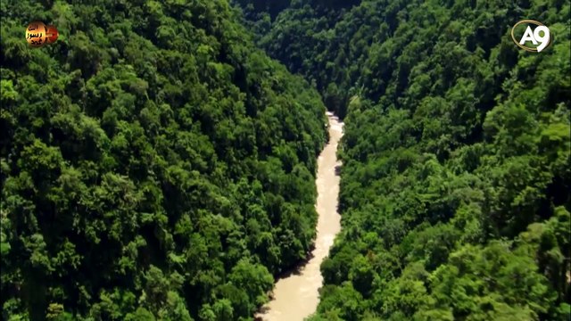 Fosiller evrimcilerin iddialarını yalanlıyor