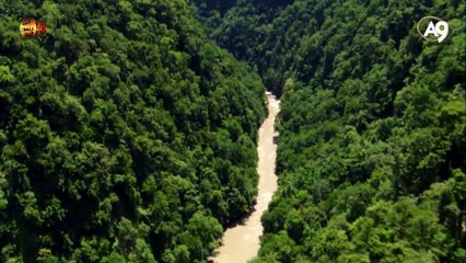 Fosiller evrimcilerin iddialarını yalanlıyor
