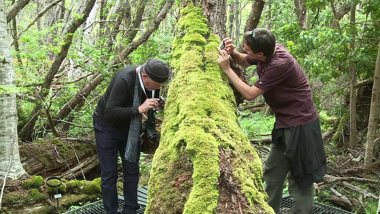 Chile's most biodiverse park threatened by climate change