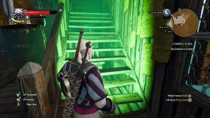 THE WITCHER 3 WALKTHROUGH PART 105 - A TOWERFUL OF MICE