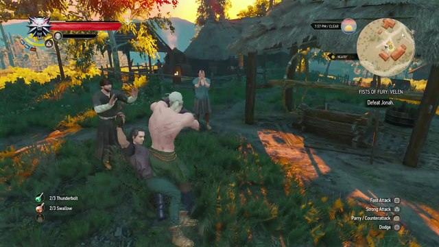 THE WITCHER 3 WALKTHROUGH PART 108 - FISTS OF FURY VELEN & GHOSTS OF THE PAST