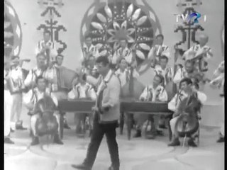 Ion Dolanescu Toti militarasii vin (1973)