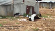 Real Ghost Got Hit And Attacked By Dog _ Sprit Caught On Camera _ By Ghostworldmedia