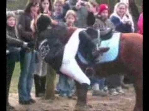 Bétisier Emotions et Gamelles à La Morandière
