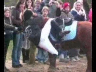 Bétisier Emotions et Gamelles à La Morandière