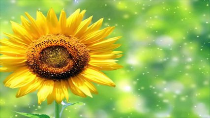 How to install v3.0.1 ODIS VAS 5054A