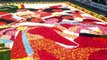 Must see: Amazing Flower carpet in Haarlem