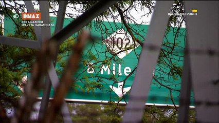 5-l'alligatore-LG Studios-ok