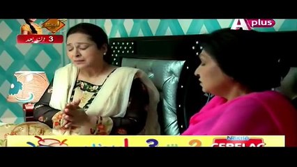 Bheegi Palkein Episode 17 - Dailymotion