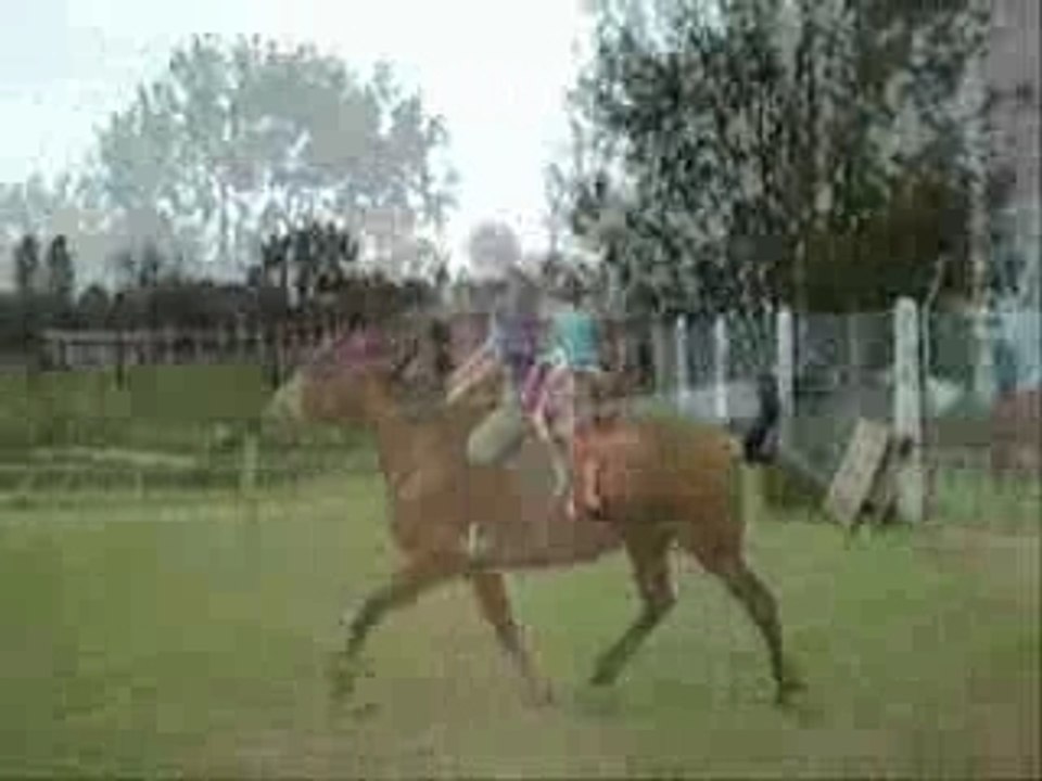Chevaux !