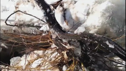 Large chunks of ice floating down the Kureyka River