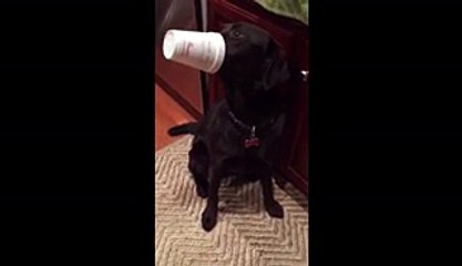 Gabby Caught Eating Ice Cream