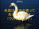 【太鼓の達人】 白鳥の湖 ~still a duckling~ 歌詞・音源 配布付き