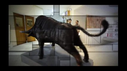 NCA Bull: Market Insights and Trends