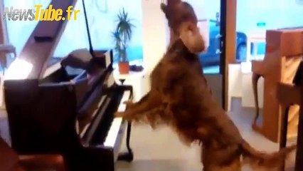 " je suis en train d'essayer de piano qui va mieux avec ma voix