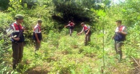 Jandarmaya 60 Milyon Lira Rüşvet Teklif Etti