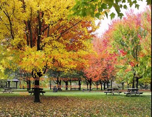 Christian song MUJHKO MASIH KE AANE KA INTJAAR HAI