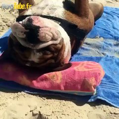 Qui a besoin d'un peu de soleil lol ?