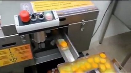 amazing easy life must watch must watch
