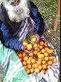 An afghan old man singing