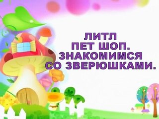 ЛИТЛ ПЕТ ШОП знакомство со зверюшками LITTLE PET SHOP acquaintance with animals