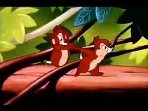 Çizgi Flimler.Donald Duck-Ördek Çizgi Film