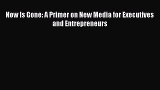 Read Now Is Gone: A Primer on New Media for Executives and Entrepreneurs Ebook