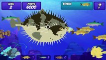 Wild Kratts - Frogfish Feast - Wild Kratts Games - PBS KIDS