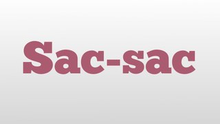 Sac-sac meaning and pronunciation